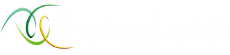 SwoopLoop - The Ultimate Perudo Game Mat